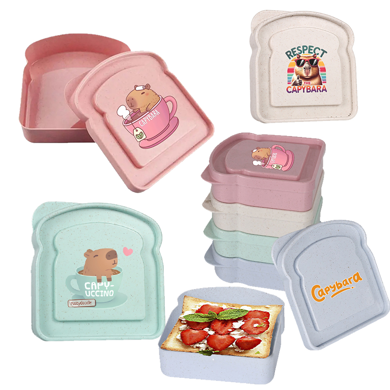 Salad Container Jar - Capivara sanduíche caixa de armazenamento de