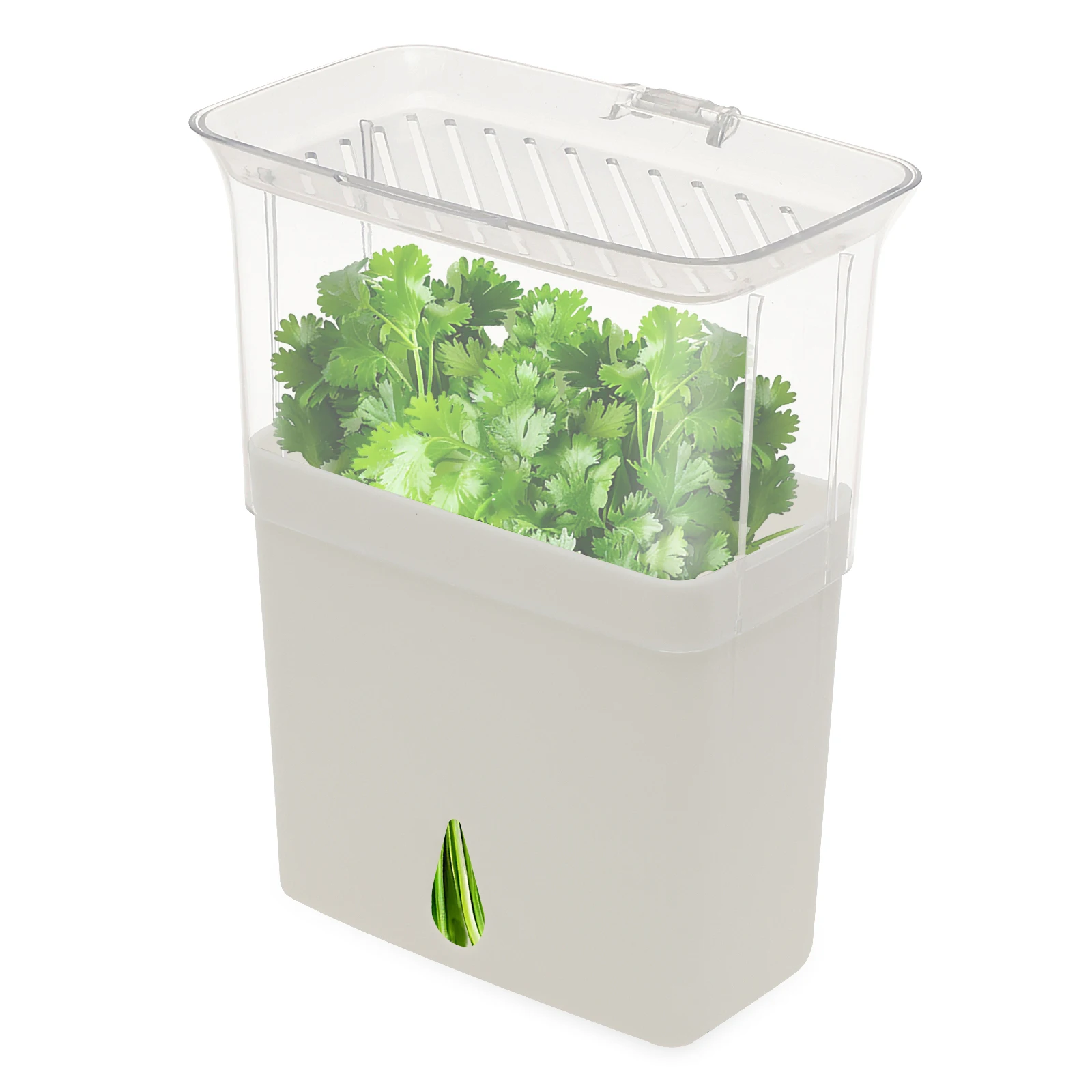 Herb Keeper Bottle - Recipiente Hermético Transparente para Conservar Ervas