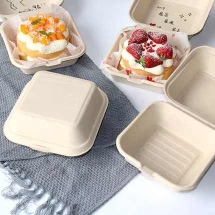 50 pçs eco-friendly descartáve - Meal Prep Day avaliação e preço