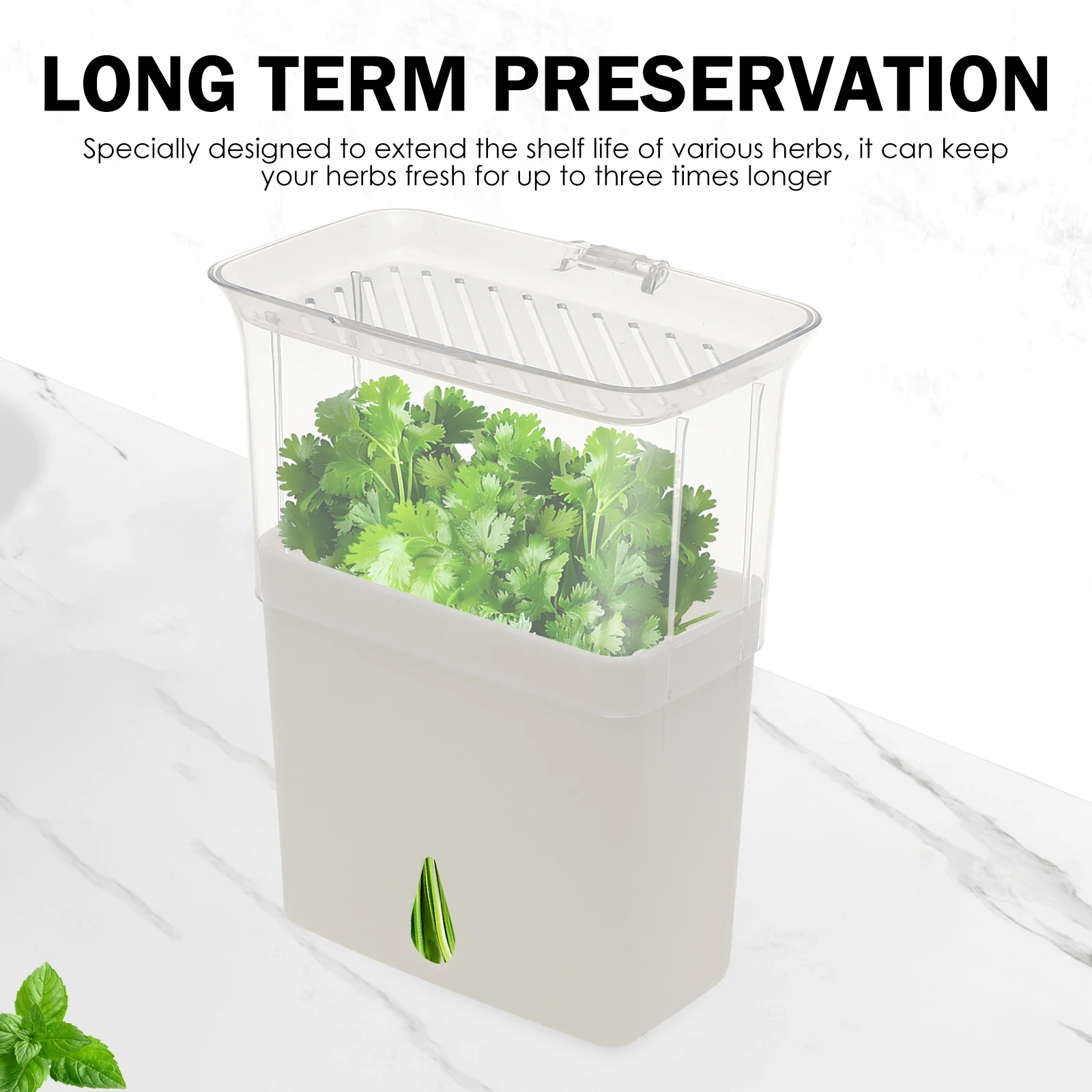 Recipiente Hermético Transpare - Herb Keeper Bottle avaliação e preço